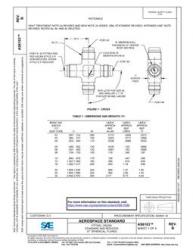 SAE AS6103B